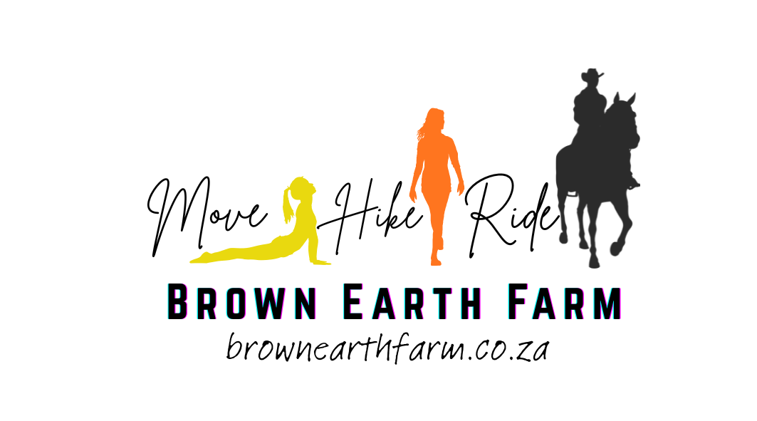 Yoga Pants April 2026 collection